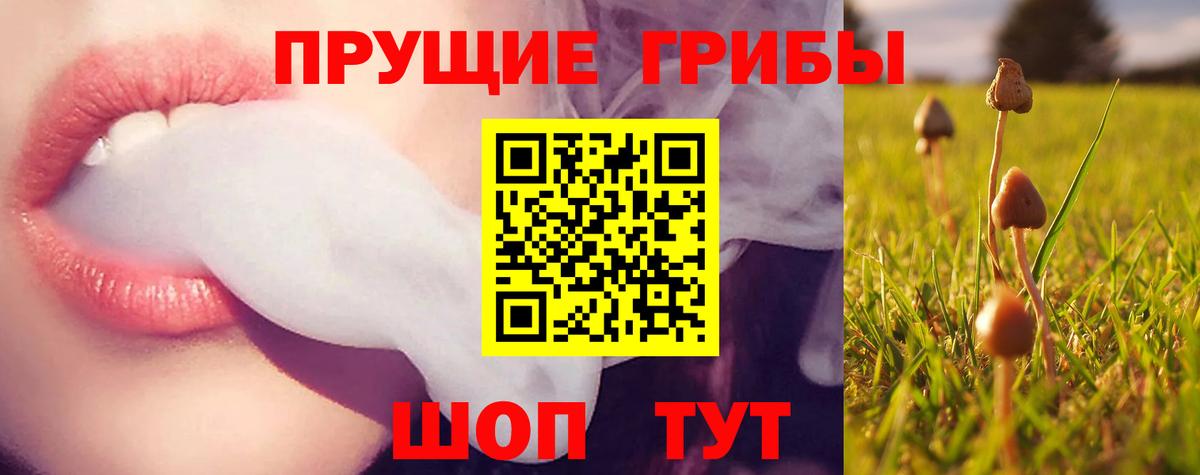 Галлюциногенные грибы GOLDEN TEACHER  где продают наркотики  Электрогорск  Вход с VPN 