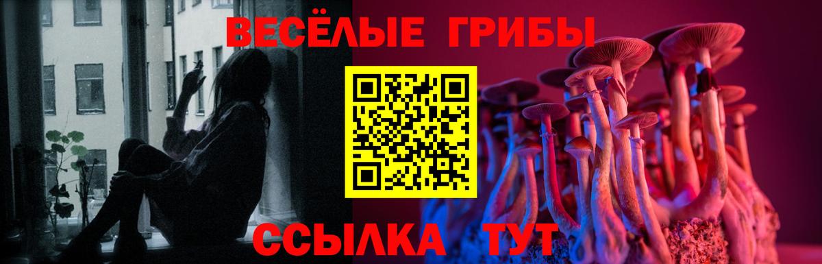 Галлюциногенные грибы прущие грибы Электрогорск